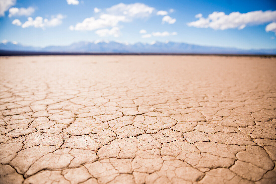 El Barreal Blanco de la Pampa del Leoncito, a dried river bed at Barreal, San Juan Province, Argentina, South America