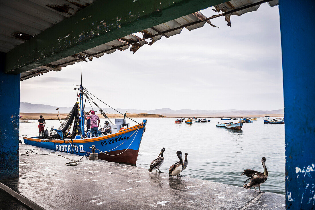 Fishing boat at fishing harbour in Paracas National Reserve Reserva Nacional de Paracas, Ica, Peru, South America
