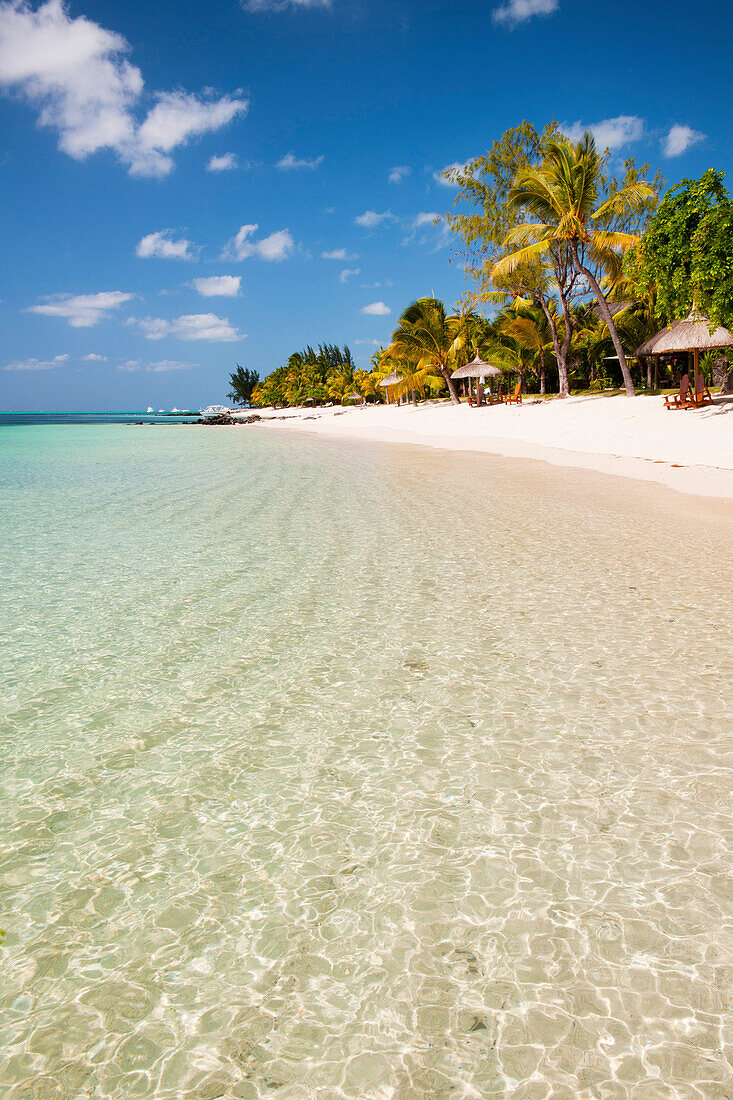 Turquoise sea and white palm fringed beach, Le Morne, Black River, Mauritius, Indian Ocean, Africa