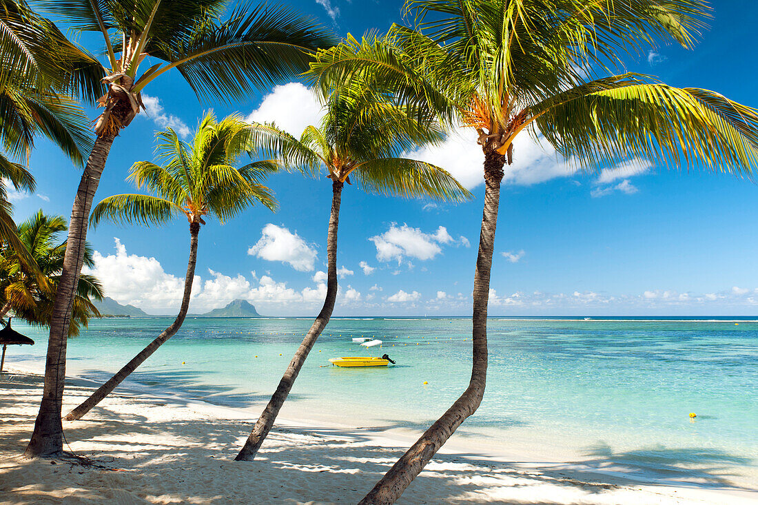 Turquoise sea and white palm fringed beach at Wolmar, Black River, Mauritius, Indian Ocean, Africa