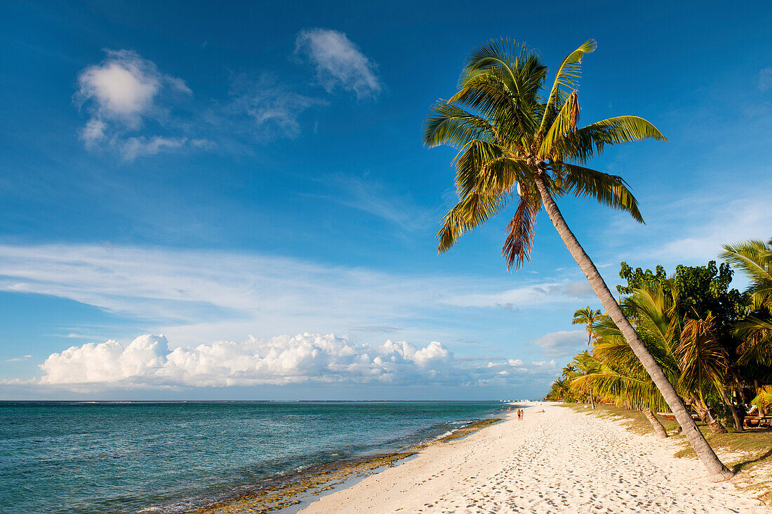 Turquoise sea and white palm fringed beach, Le Morne, Black River, Mauritius, Indian Ocean, Africa