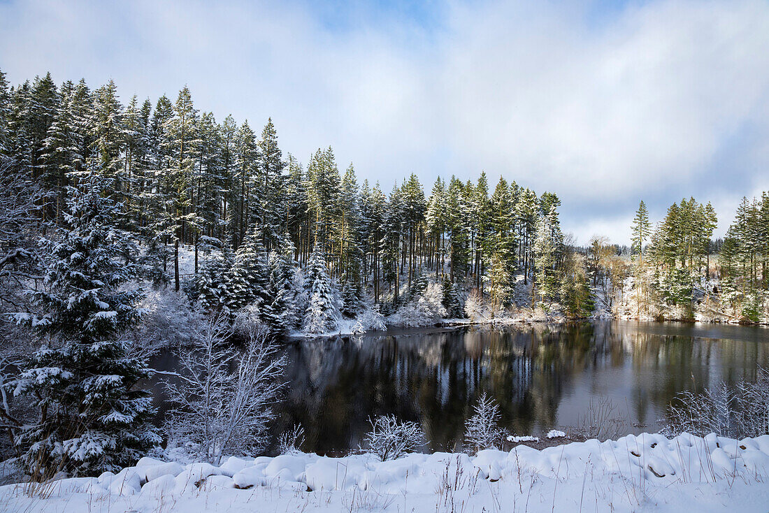 Kielder Water and Forest Park in snow, Northumberland, England, United Kingdom, Europe