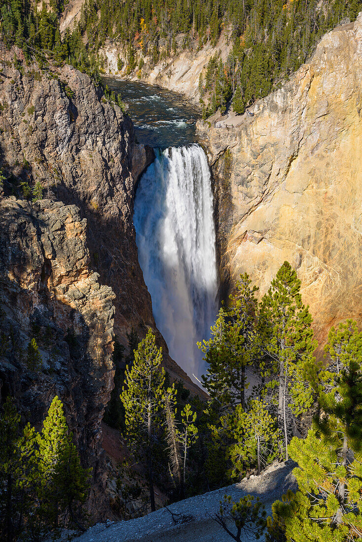 Lower Falls, Yellowstone River, Yellowstone National Park, UNESCO World Heritage Site, Wyoming, United States of America, North America