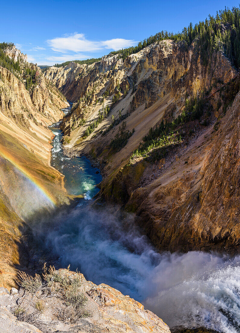 Grand Canyon of the Yellowstone River from Brink of the Lower Falls, Yellowstone National Park, UNESCO World Heritage Site, Wyoming, United States of America, North America