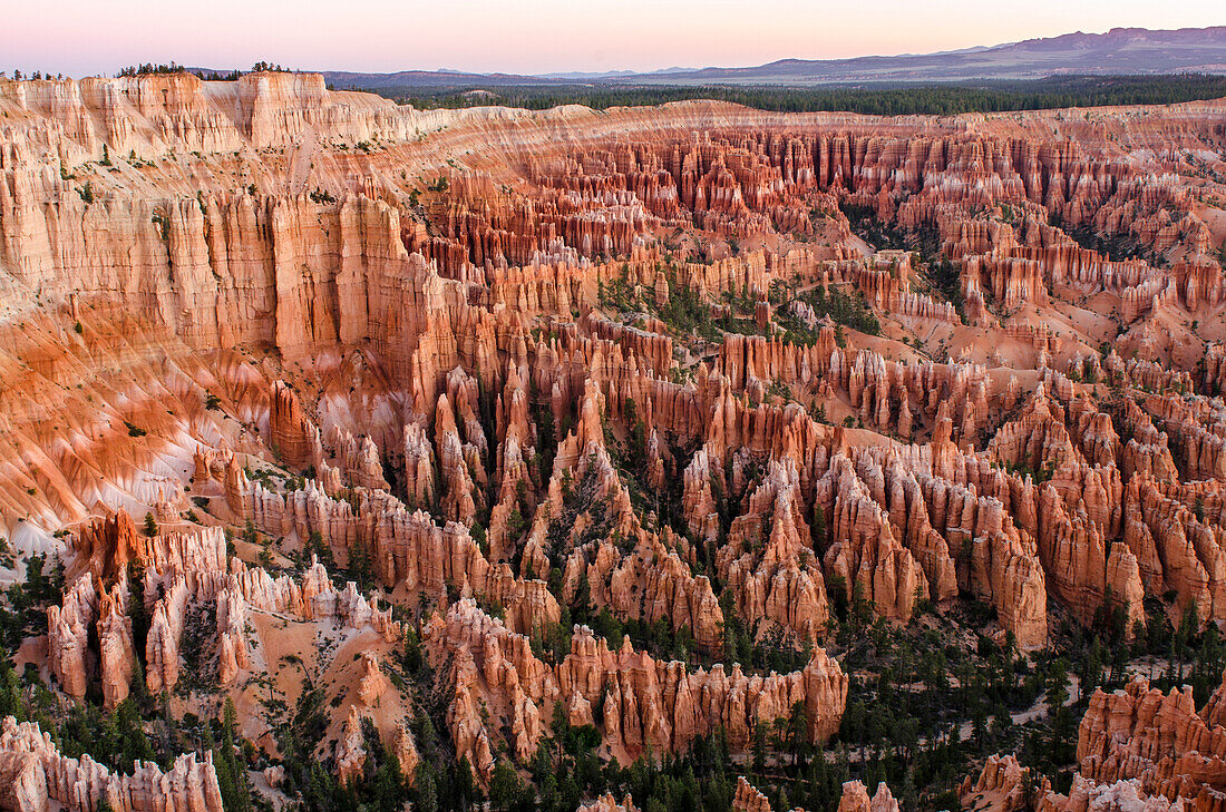 Bryce Canyon National Park Utah, United States of America, North America