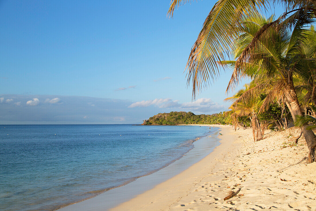 Beach on Mana Island, Mamanuca Islands, Fiji, South Pacific, Pacific