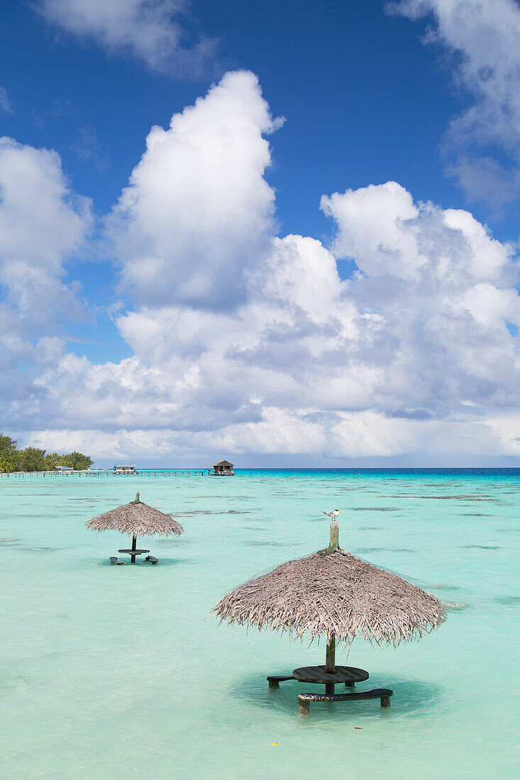 Parasols in lagoon, Fakarava, Tuamotu Islands, French Polynesia, South Pacific, Pacific
