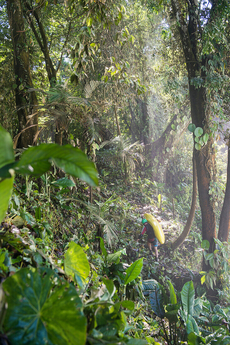 One person hiking with a kayak through the jungle at Cascadas de Agua Azul, Chiapas, Mexico.