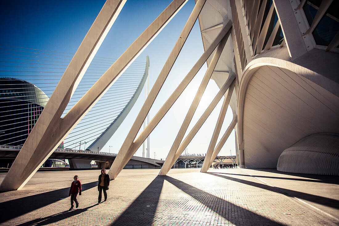 City of Arts and Sciences in Valencia, Spain.