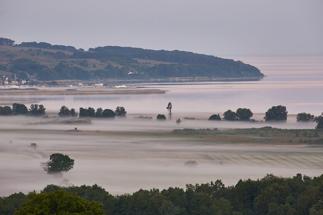 View towards Gager and Zickersche Mountains in the morning mist, Moenchgut, Ruegen, Mecklenburg-Western Pomerania, Germany