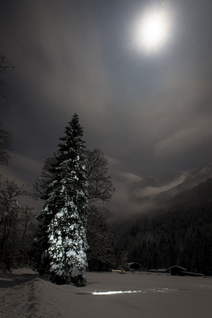 Winter landscape, full moon and illuminated trees in Stillach Valley, Oberallgäu  Oberstdorf, Germany 2014
