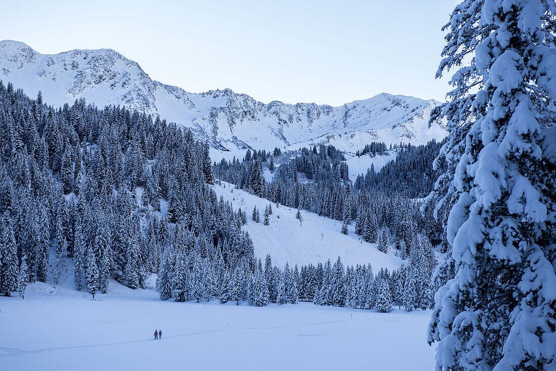 Wanderung durch das winterliche und verschneite Kleinwalsertal in Vorarlberg zur blauen Stunde, Vorarlberg, Österreich