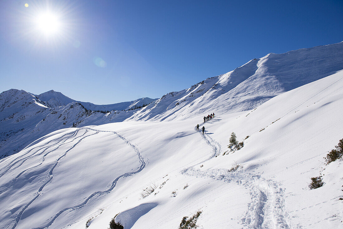 Gruppe Schneeschuhwanderer im Schwarzwassertal bei Sonnenschein und Schnee, Vorarlberg, Österreich