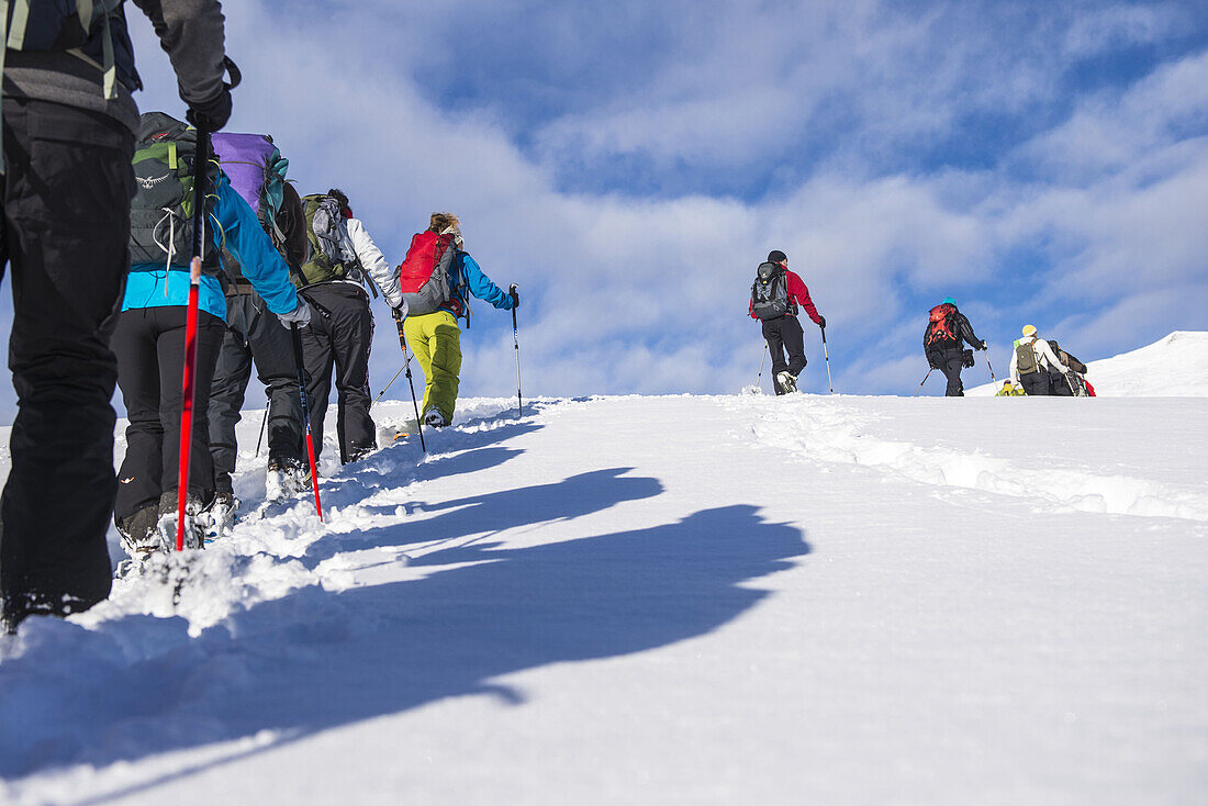 Group of hikers snowshoeing, Schwarzwasser valley in sunshine, Vorarlberg, Austria