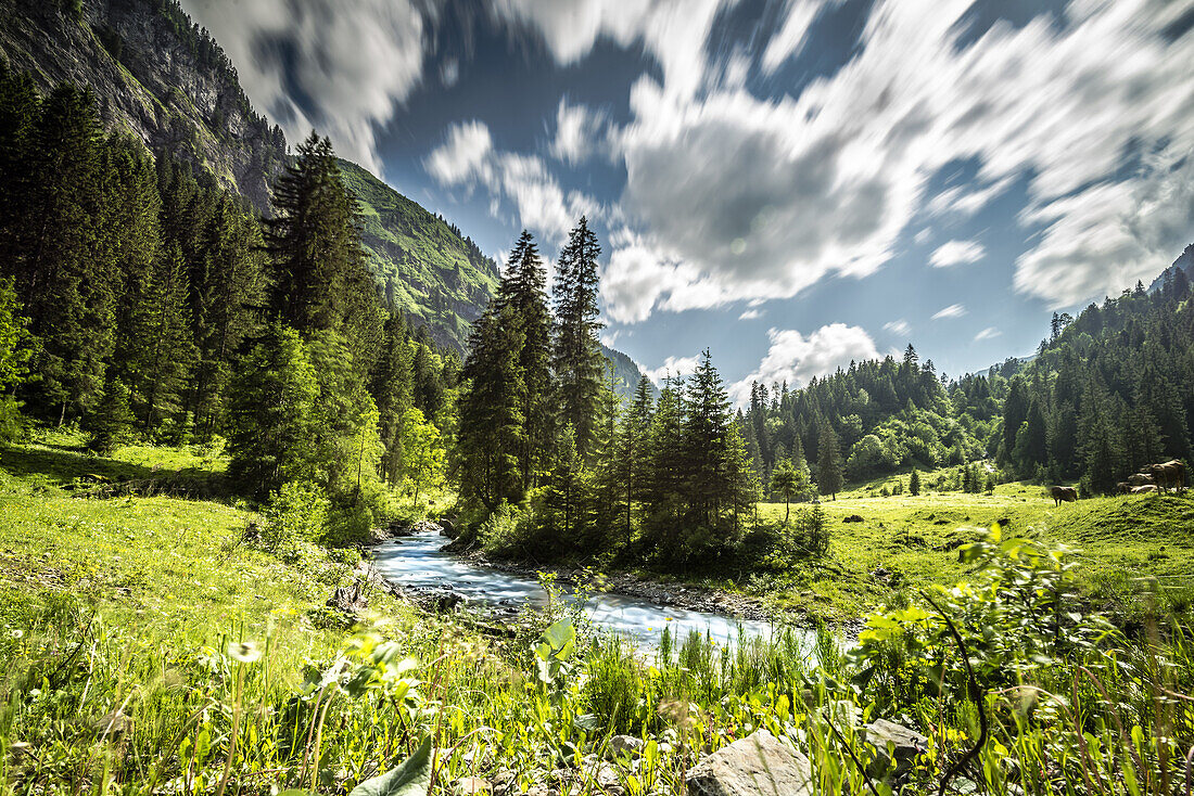 Sommerliche Flusslandschaft im Stillachtal der Allgäuer Alpen, Oberstdorf, Deutschland, Oberstdorf 2015