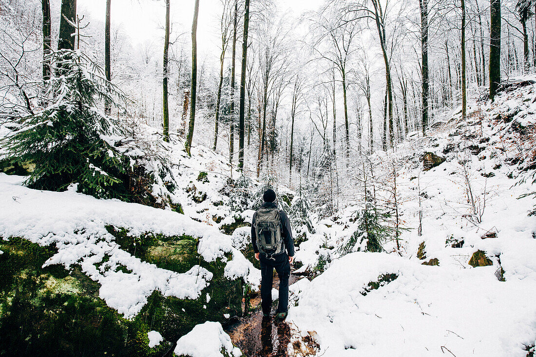 Hiker standing in the snow-covered Palatinate Forest, Anweiler, Palatinate Forest, Rhineland-Palatinate, Germany