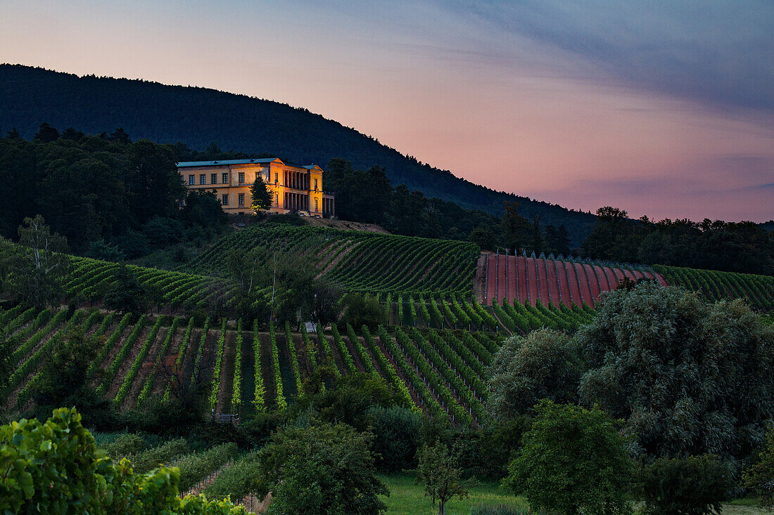 Die angeleuchtende Villa Ludwigshöhe am Abend, Edenkoben, Südliche Weinstraße, Rheinland-Pfalz, Deutschland