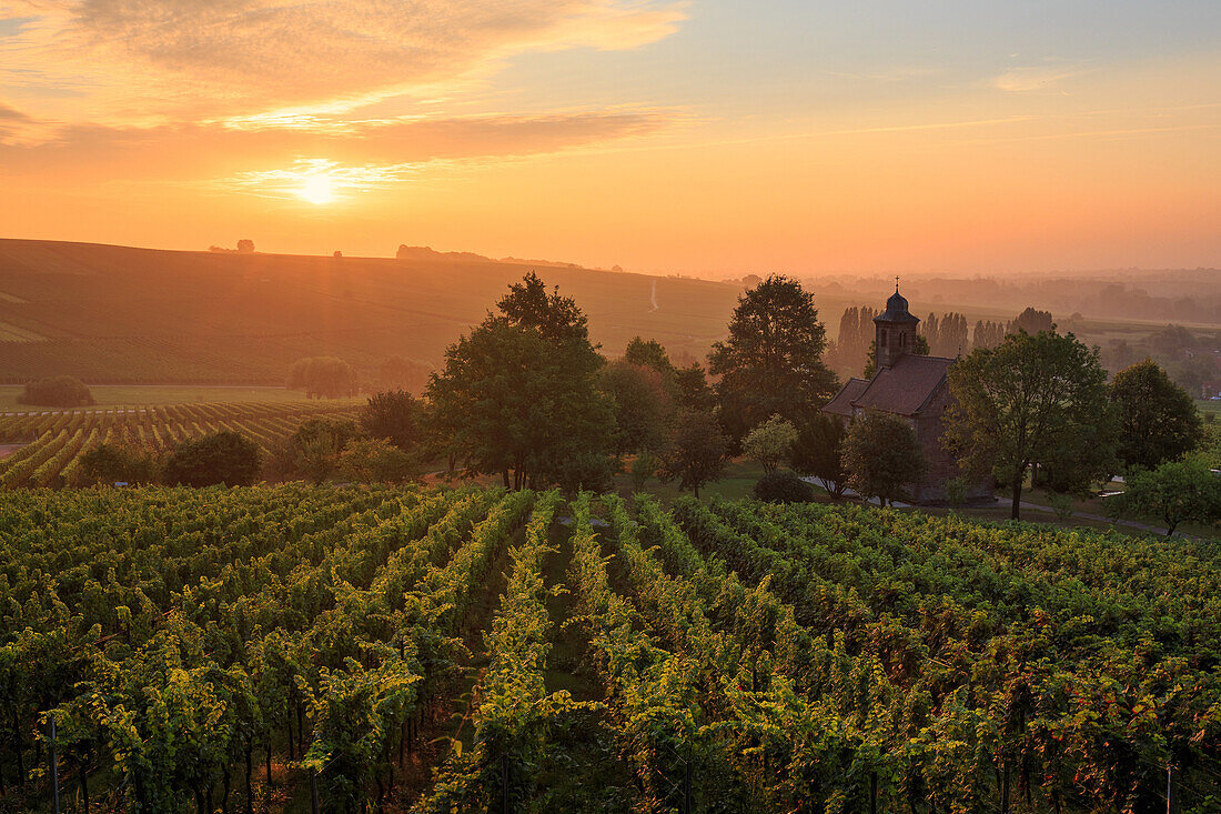 Sunrise over Nikolauskapelle next to Klingenmuenster, Southern wine route, Rhineland-Palatinate, Germany