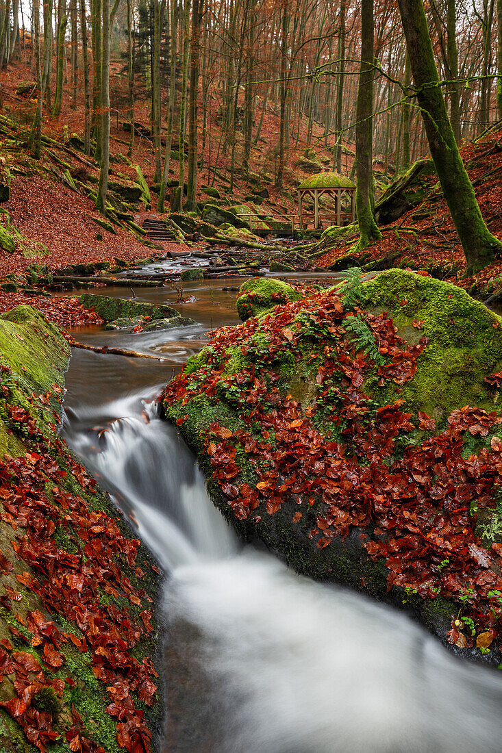Herbst in der Karlstalschluch, Pfälzer Wald, Rheinland-Pfalz, Deutschland