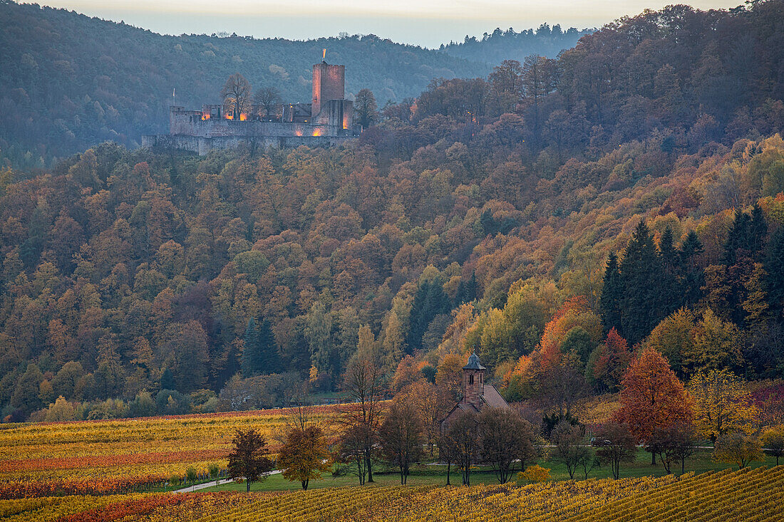 Autumn in the Palatinate Forest, view of castle Landeck and Nikolauskapelle at Klingemuenster, Southern wine route, Palatinate Forest, Rhineland-Palatinate, Germany