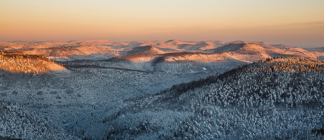 Snowy Palatinate Forest, view from the Luitpoldtower, Palatinate Forest, Rhineland-Palatinate, Germany