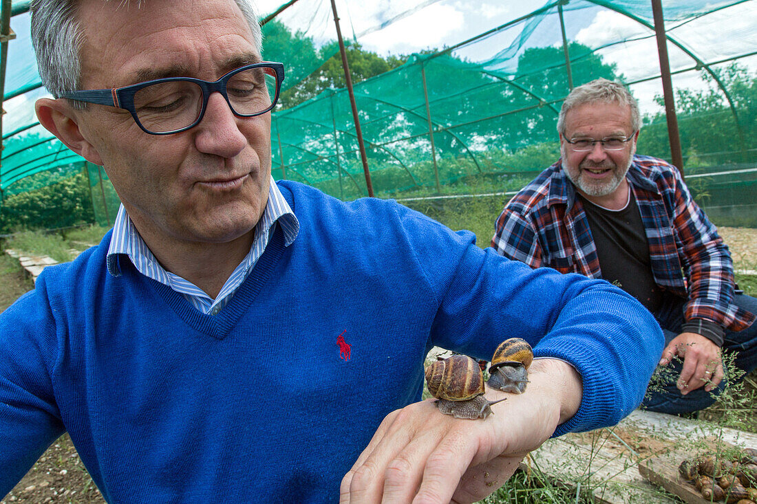 laurent clement, michelin-starred chef at the cours gabriel, and philippe couvreur, snail farmer, produce of the land, preaux-du-perche, france