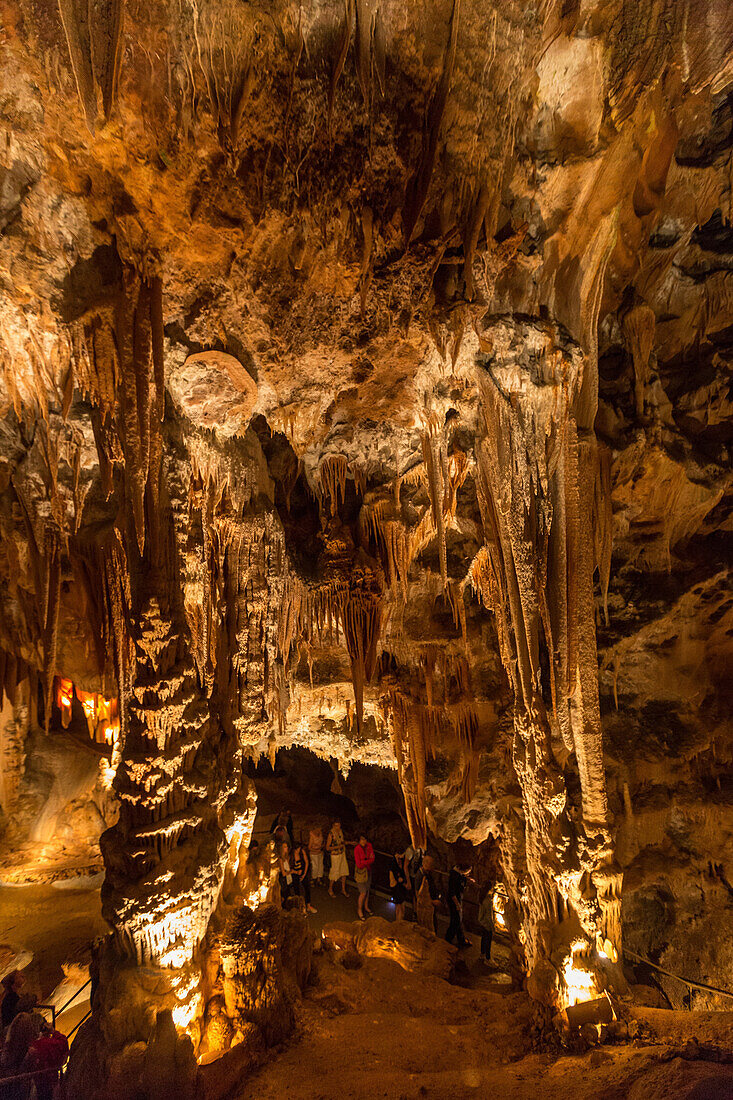 la madeleine cave, nature reserve of the gorges of the ardeche, saint-remeze, ardeche (07), france