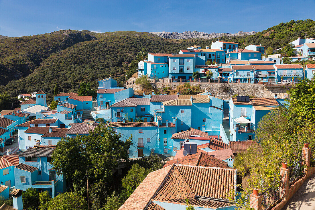 juzcar is the village of the smurfs. for the film shoot, all the whitewashed houses in the town, a white village (pueblo blanco), were panted blue. after the filming of the movie the townspeople decided to keep the blue color for the tourists, costa del s