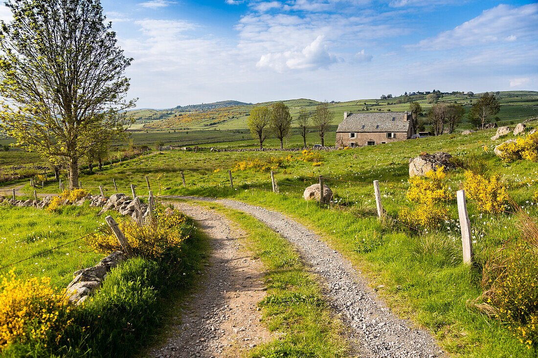 landscape with a buron near nasbinals, lozere, france