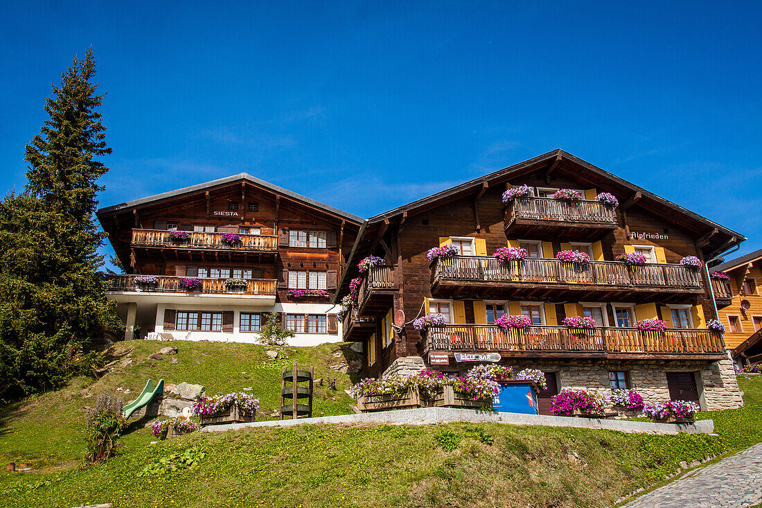 chalets typiques suisses avec balcons fleuris dans le centre du village de bettmeralp, station de ski, bettmeralp, canton du valais, suisse