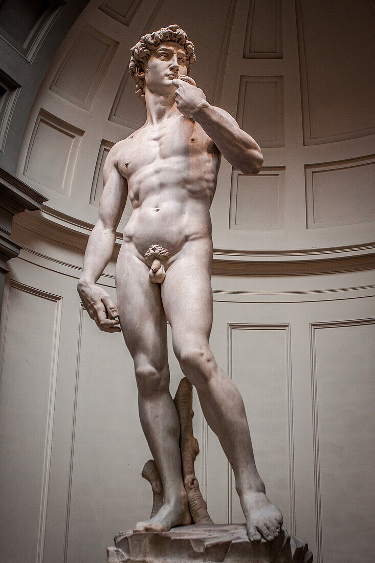 david de michel-ange, chef-d'œuvre de la sculpture de la renaissance expose a l'academie des beaux-arts de florence, florence, toscane, italie, union europeenne