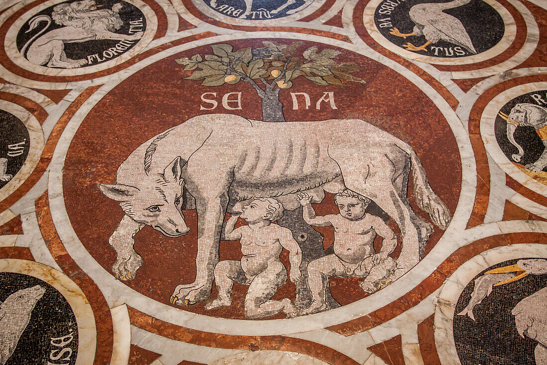 pavement en marbre representant la louve protegeant romulus et remus a l'interieur de la cathedrale notre-dame-de-l'assomption, santa maria assunta, cathedrale de sienne, sienne, italie, union europeenne