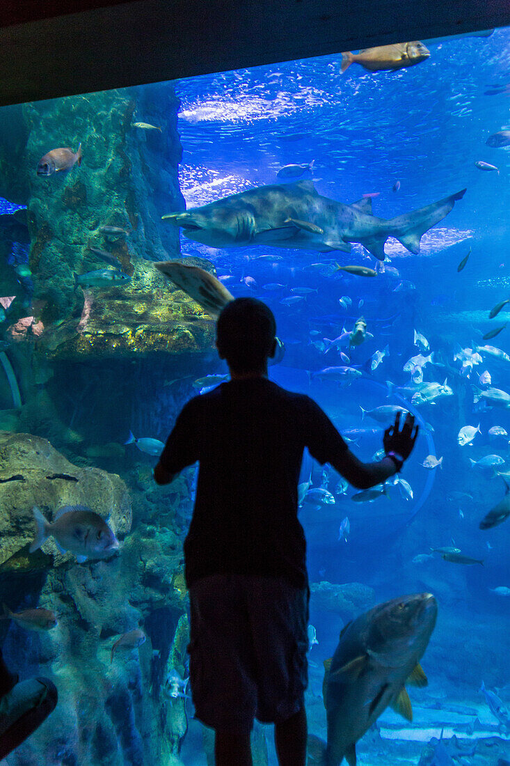 aquarium, san sebastian, donostia, basque country, spain