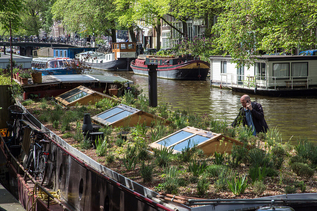 houseboat with a garden on its roof, amsterdam, holland