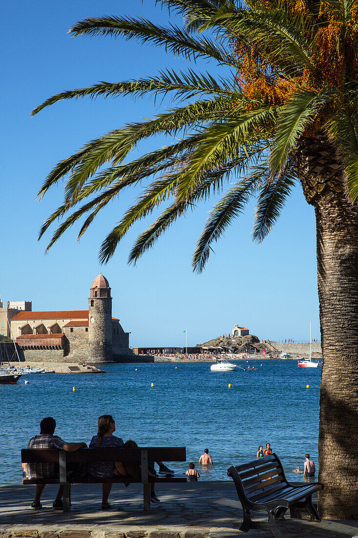 palm tree and tourists on the beach in front of the notre-dame-des-anges church, town of collioure, (66) pyrenees-orientales, languedoc-roussillon, france
