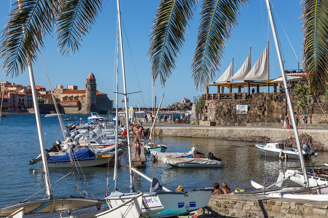 the marina and the notre-dame-des-anges church, town of collioure, (66) pyrenees-orientales, languedoc-roussillon, france