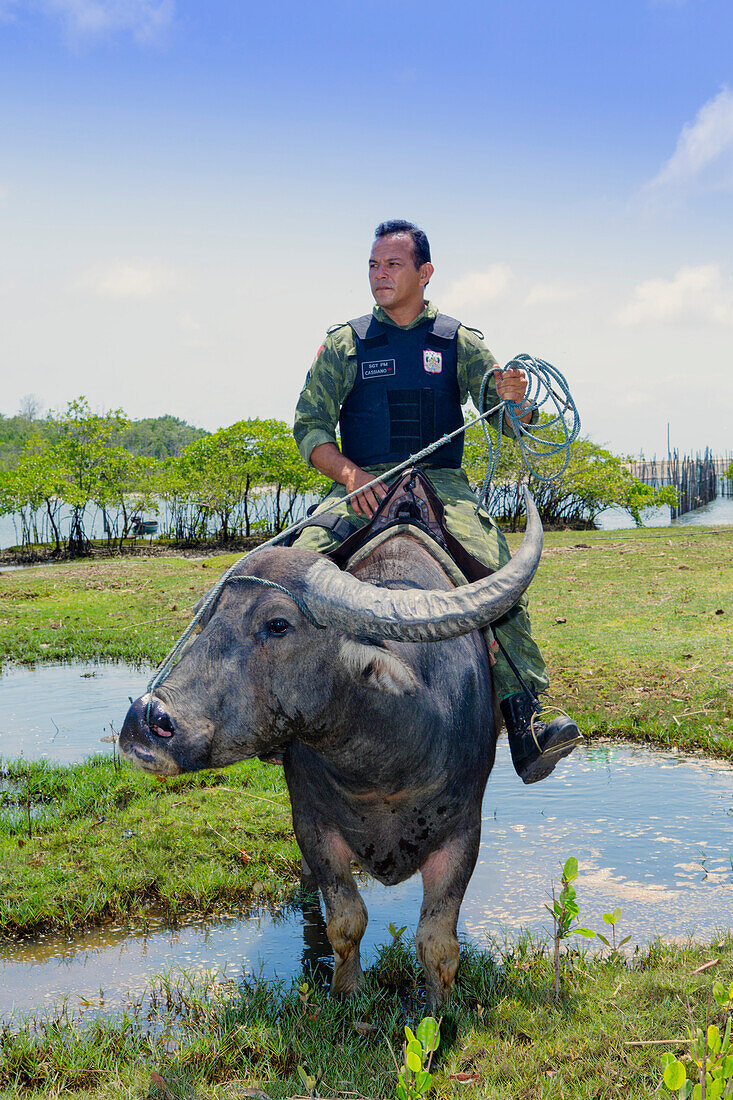 Armed policeman on buffalo back on Marajo Island in the Brazilian Amazon, Para, Brazil, South America