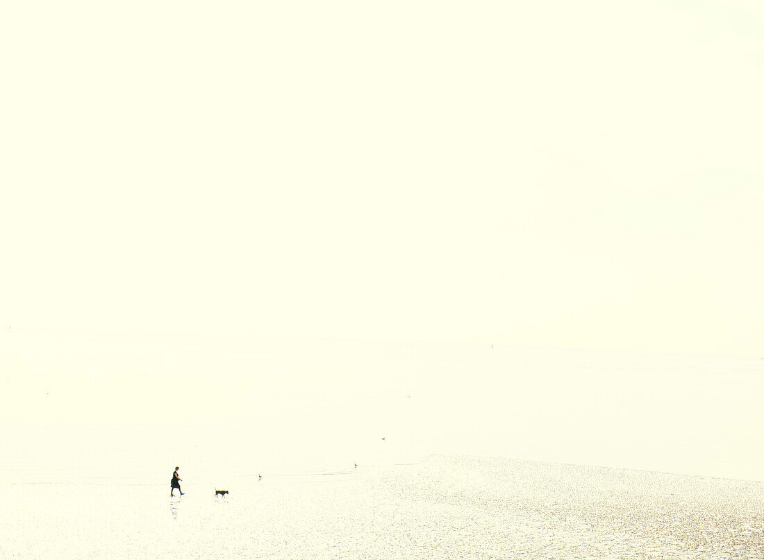 Woman walking a dog at low tide on a misty beach, United Kingdom, Europe