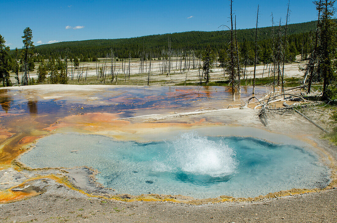 Firehole Spring, Yellowstone National Park, UNESCO World Heritage Site, Wyoming, United States of America, North America