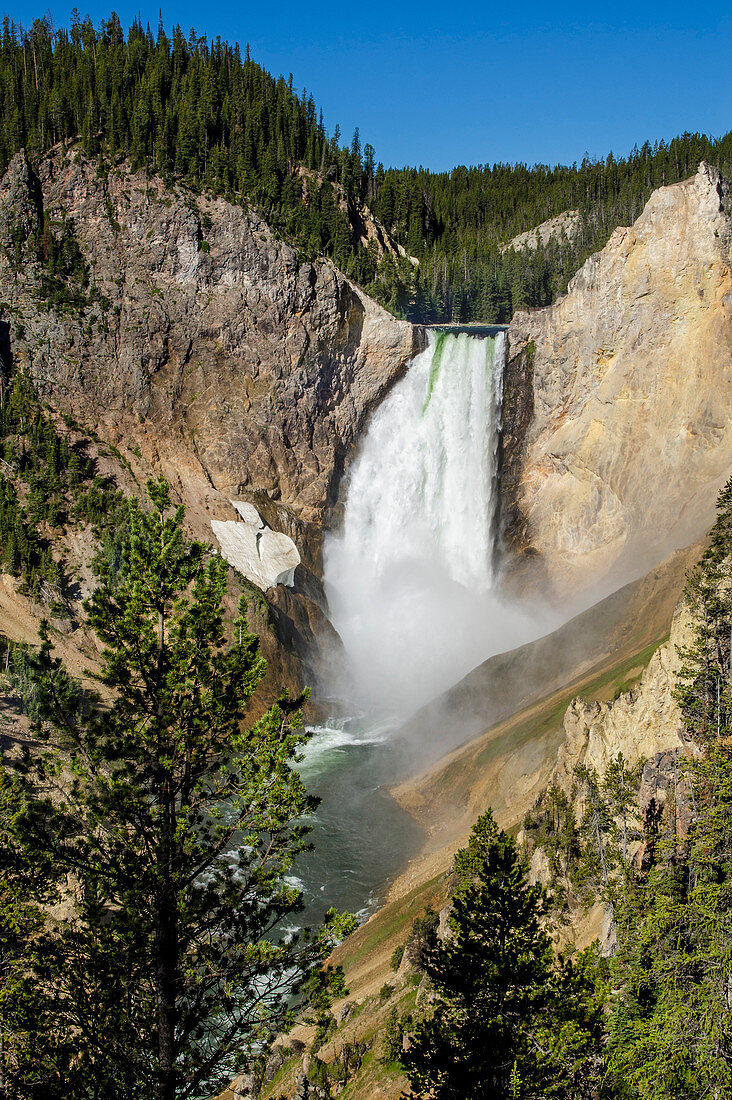 Lower Falls, Yellowstone National Park, UNESCO World Heritage Site, Wyoming, United States of America, North America