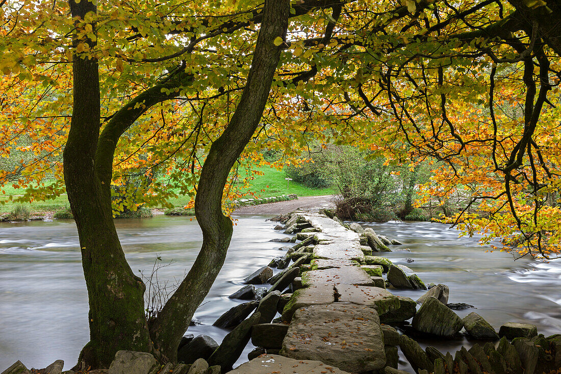 Autumnal colours above Tarr Steps in Exmoor National Park, Somerset, England, United Kingdom, Europe