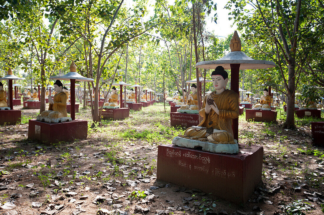 Maha Bodhi Ta Htaung, 1000 great Bo trees planted, each with a Buddha statue next to it, Monywa township, Sagaing Division, Myanmar Burma, Asia