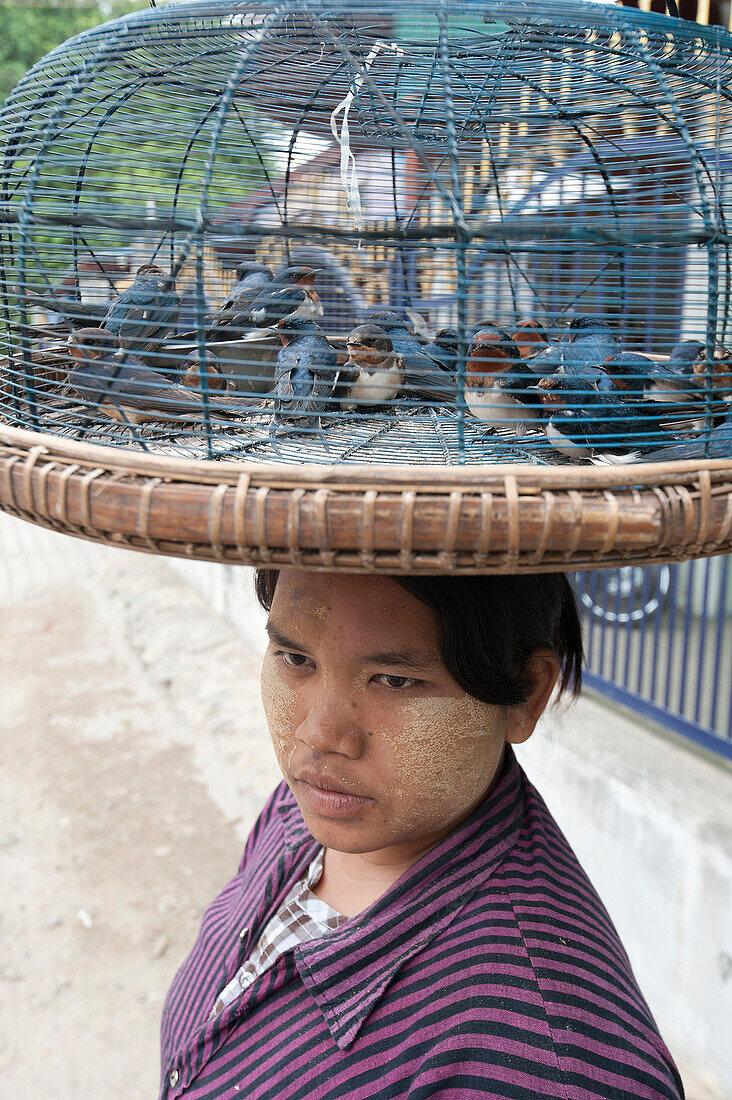 Woman with thanaka on her cheeks and trapped birds in a basket on her head, asking for people to pay to set them free, Mandalay, Myanmar Burma, Asia