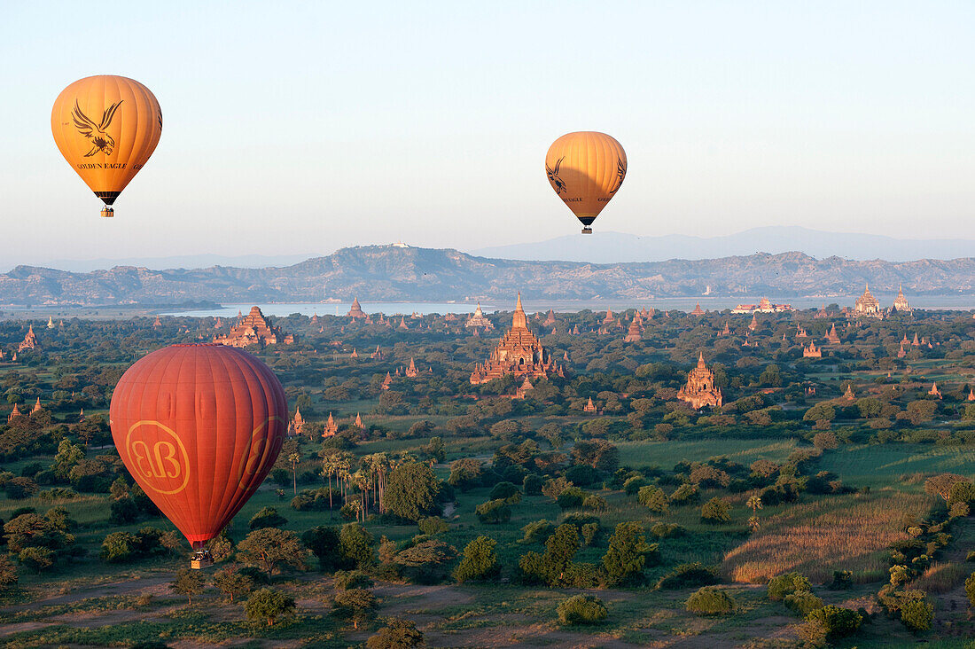 Hot air balloons flying over the terracotta temples of Bagan with the Irrawaddy river in the distance, Bagan Pagan, Mandalay Division, Myanmar Burma, Asia