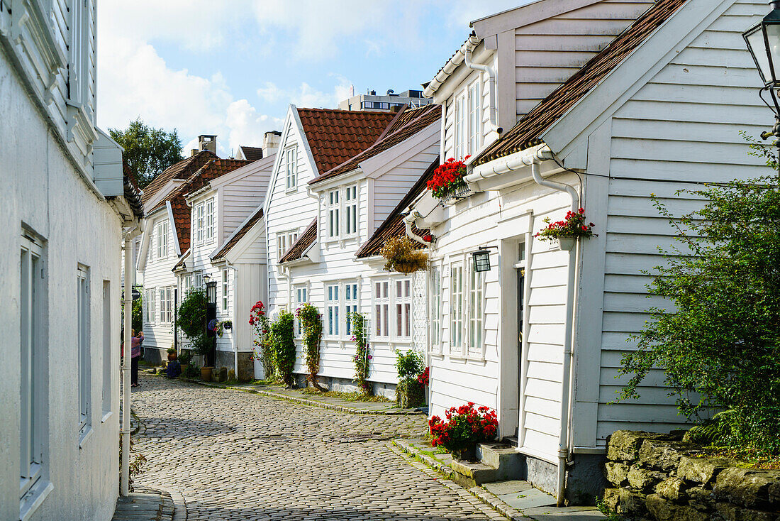 Old Stavanger Gamle Stavanger comprising about 250 buildings dating from early 18th century, mostly small white cottages, Stavanger, Rotaland, Norway, Scandinavia, Europe