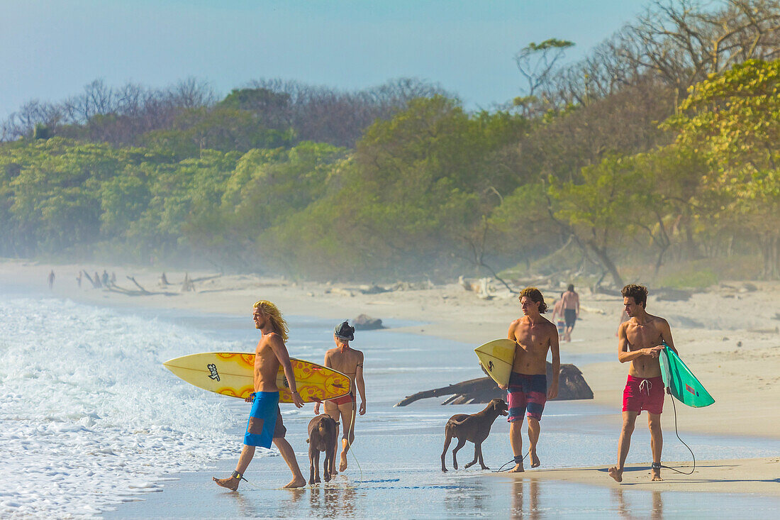 Surfers at this popular surf beach at the southern tip of the Nicoya Peninsula, Santa Teresa, Puntarenas, Costa Rica, Central America