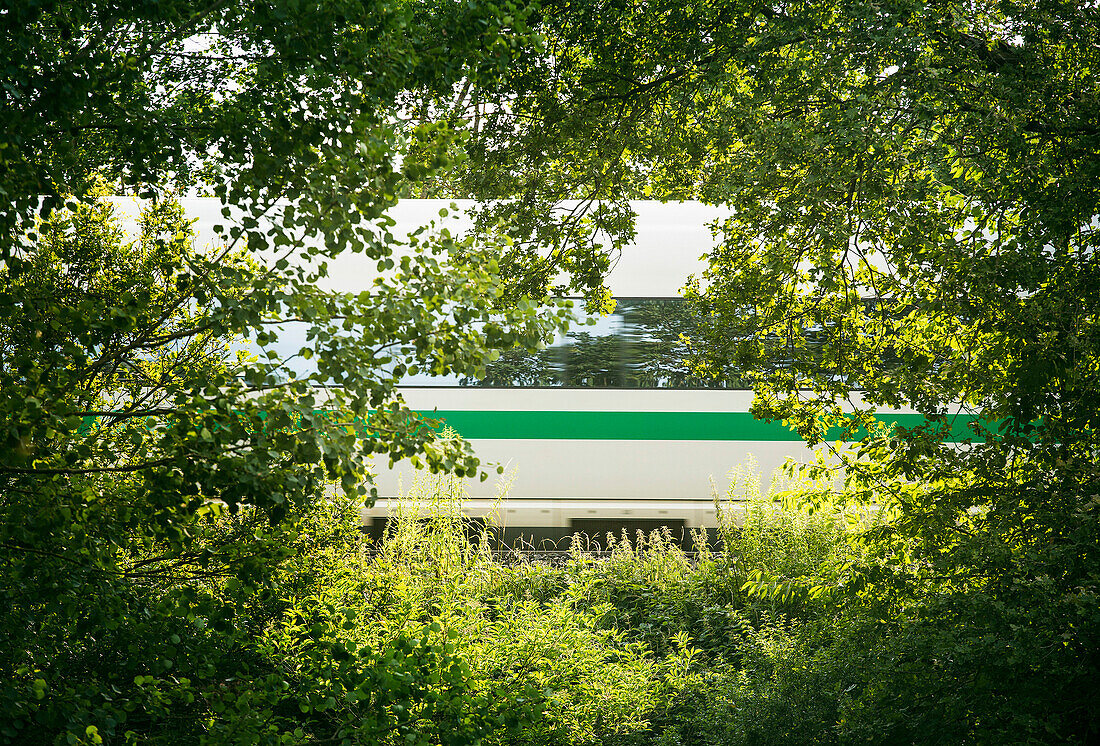 Train seen through trees