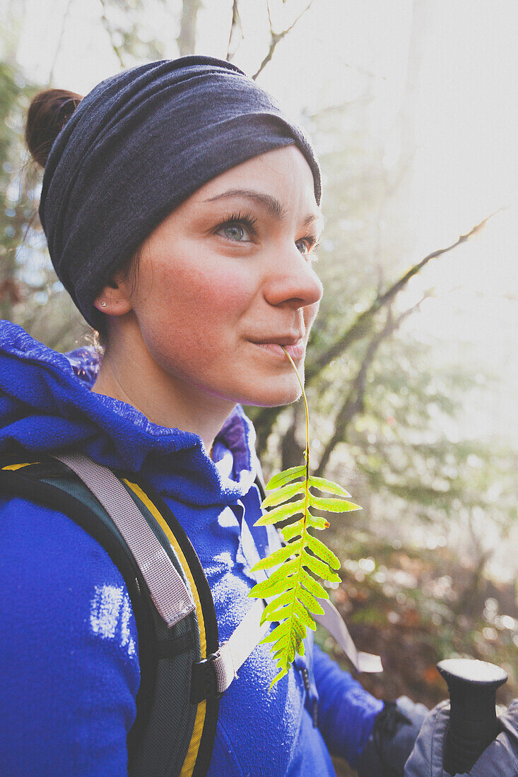 A young woman  chews on a Licorice Fern (Polypodium glycyrrhiza) while hiking.