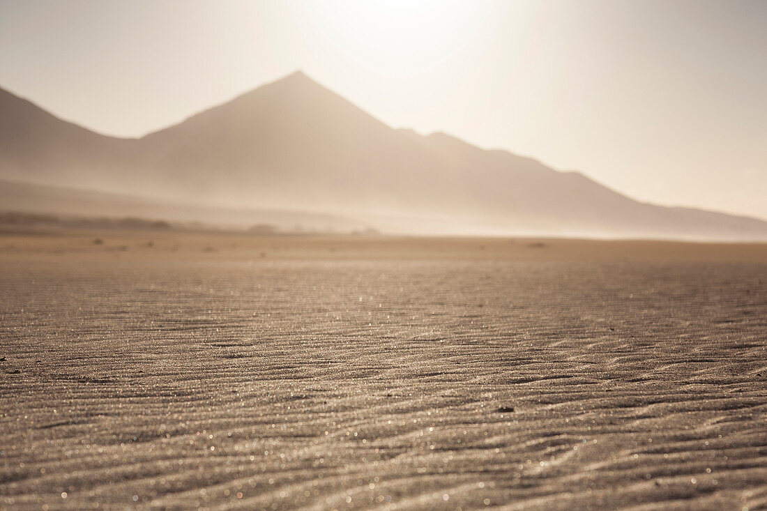 Desert sandy beach with no people in Fuerteventura. Canary Islands
