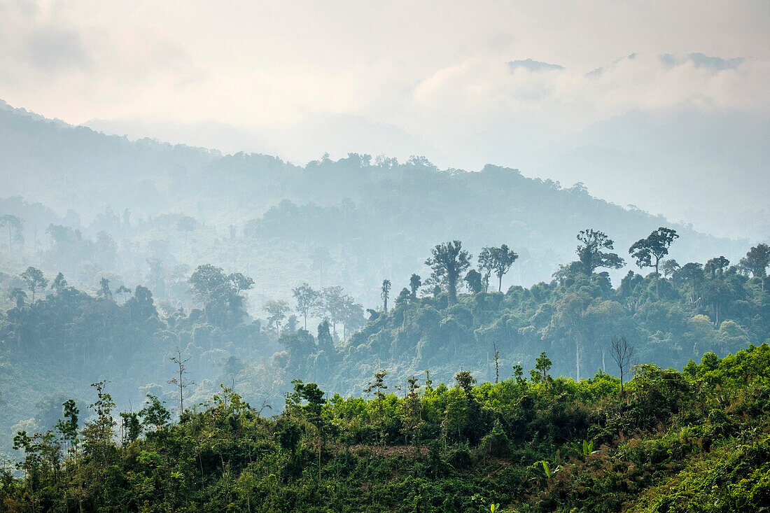 Jungle landscape along Ho Chi Minh Highway West, Ph??c S?n District, Qu?ng Nam Province, Vietnam